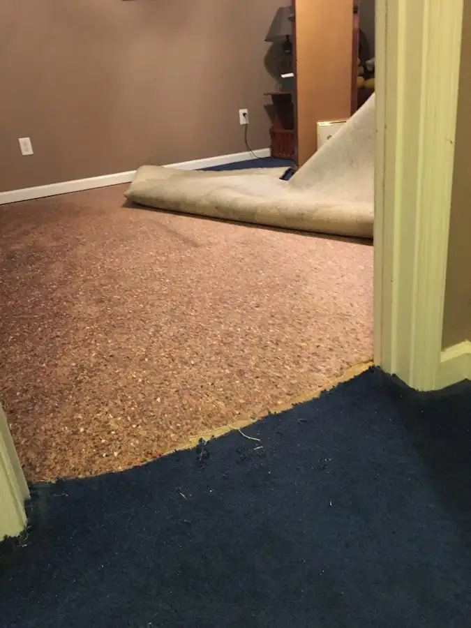 Carpet pad removal revealing water damage during Drying & Dehumidification in Gates